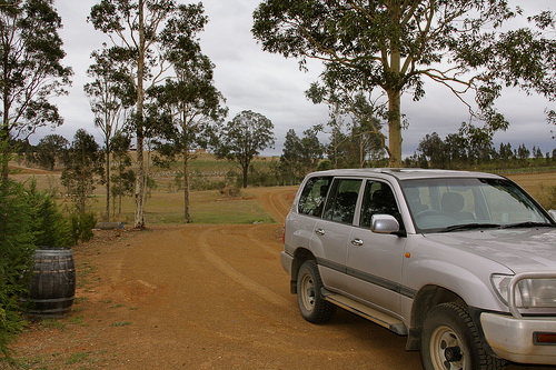 Cruising the Vineyards