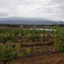 A Visit To Macquariedale: Part One