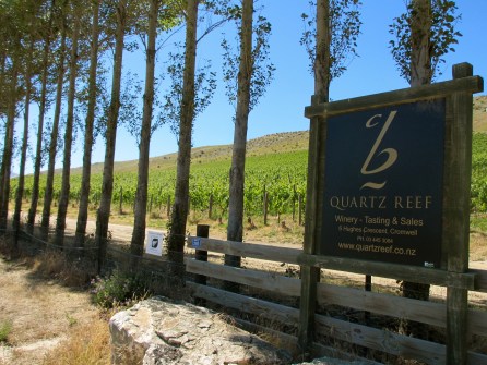 Bendigo Estate Vineyard