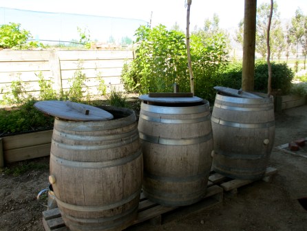 BD Prep's at the Bendigo Estate Vineyard