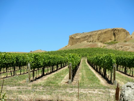 Bannockburn, Cromwell - Central Otago