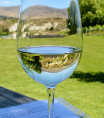 2011 Carrick Sauvignon Blanc w/ Stunning Vista