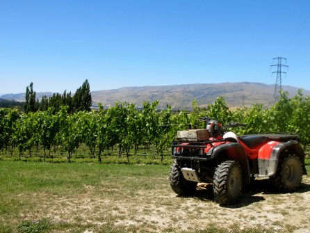 Felton Road Winery, Cromwell Central Otago
