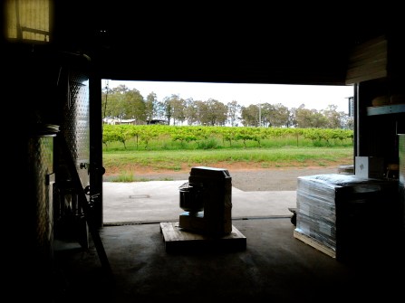 From the vineyard to the winery...