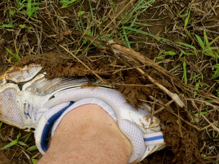 Muddy Feet!