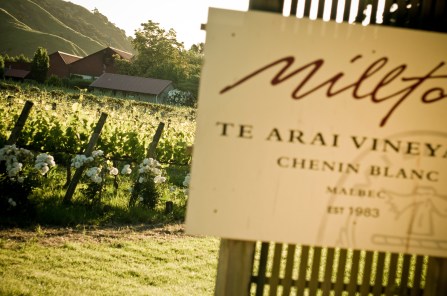 Millton Te Arai Vineyard