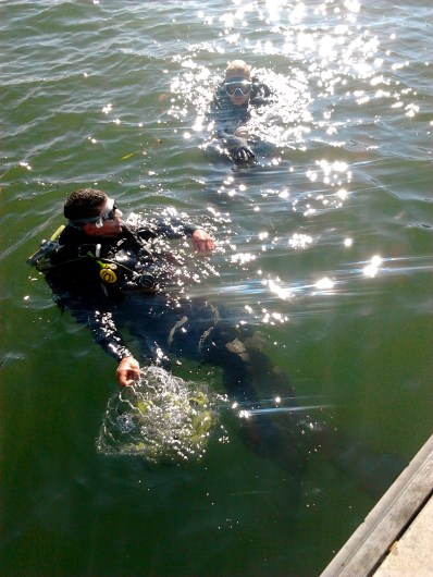 Swimming out and sinking to new depths...