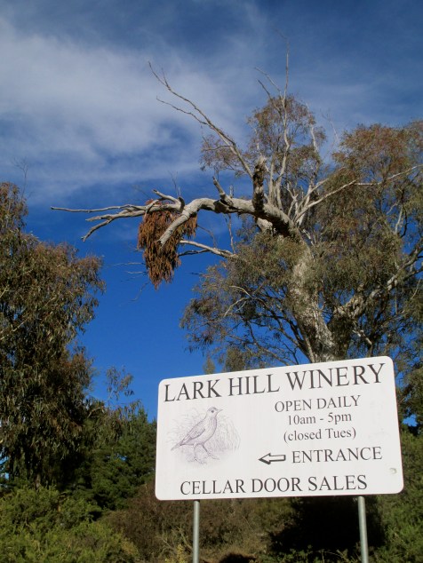Lark Hill Winery - Photo by The Wine Idealist