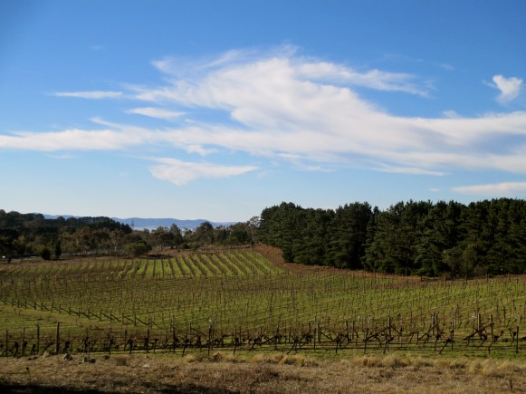 Lark Hill Winery - Photo by The Wine Idealist