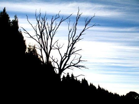 Photo byThe Wine Idealist