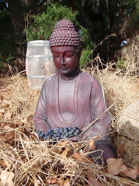 Photo by Will Berliner