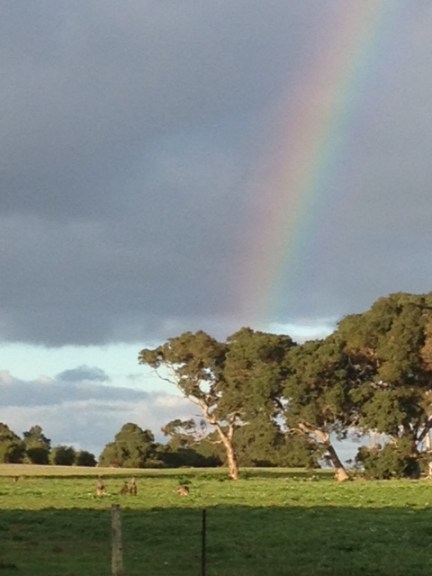 Photo by Will Berliner