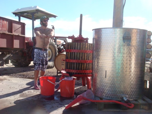 Fraser McKinley - Photo courtesy of Sami-Odi 