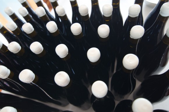 Photo by David Fesq - Used with Permission