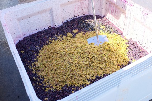 Photo by David Fesq - Used with Permission