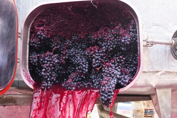 Between Five Bells / Lethbridge - Geelong - photo by David Fesq