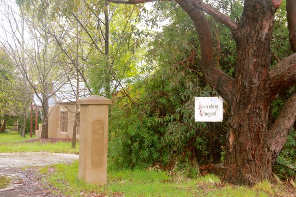 Sorrenberg Vineyards - Beechworth, Vic - photo by The Wine Idealist