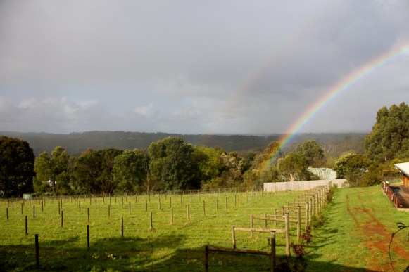 Double Rainbow! - Avani - photo by The Wine Idealist