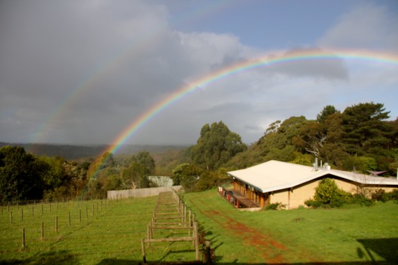 Happens All The Time - Avani - photo by The Wine Idealist