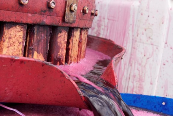 Basket Pressed Juice - photo courtesy of Ben Gould