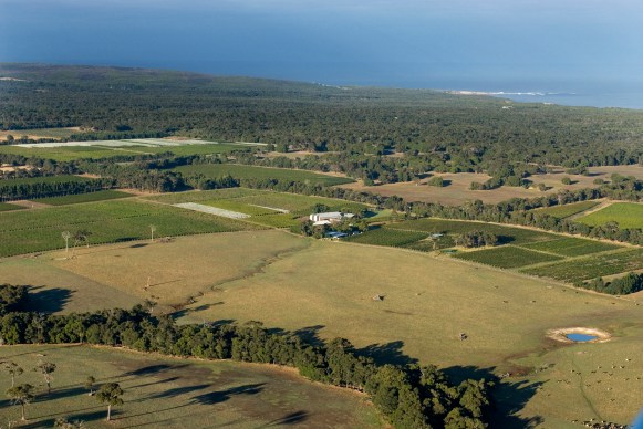 Cullen Vineyards, Wilyabrup - photo courtesy of Cullen Wines