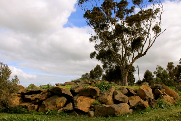 Massive Rocks / Mean Soils - photo by The Wine Idealist