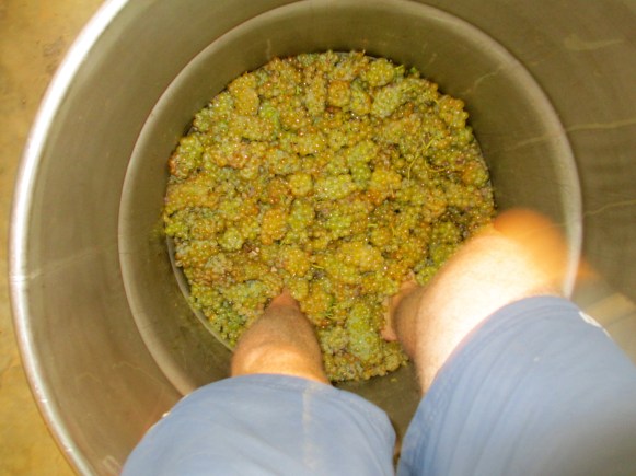 The Field Blend Stomp - photo by The Wine Idealist