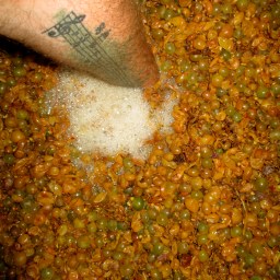 ‘A Word On Wine’