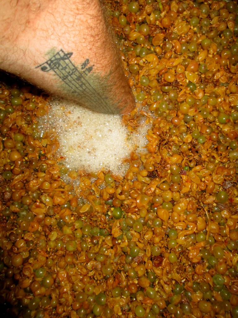 Punching The Cap - photo by The Wine Idealist