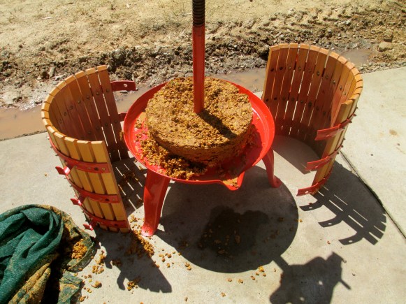 Grape Cake - photo by The Wine Idealist