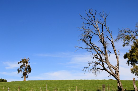 Big Yarra Sky - photo by The Wine Idealist