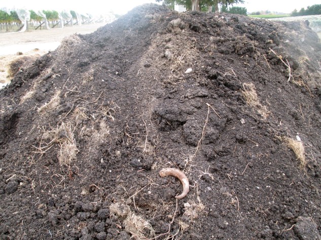 Te Whare Ra (NZ) Compost Pile - photo by The Wine Idealist