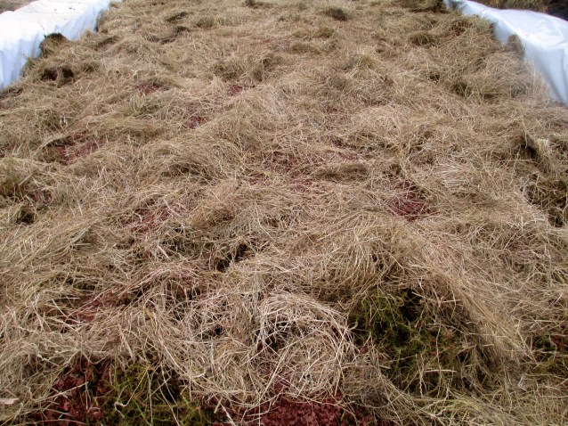 TWR Compost Pile - photo by The Wine Idealist
