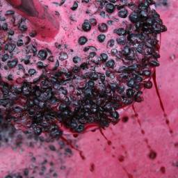 Welcome to Wine Idealism in 2016…