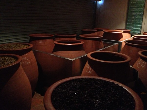 Amphora Army - photo courtesy of Brash Higgins