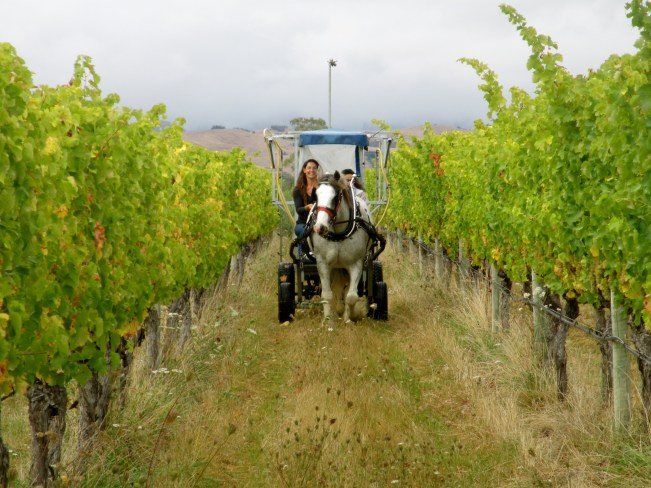 Gracie and Melissa Spraying 508 - photo by The Wine Idealist