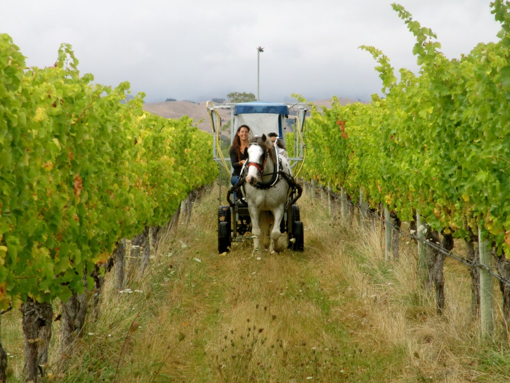 Gracie and Melissa Spraying 508 - photo by The Wine Idealist