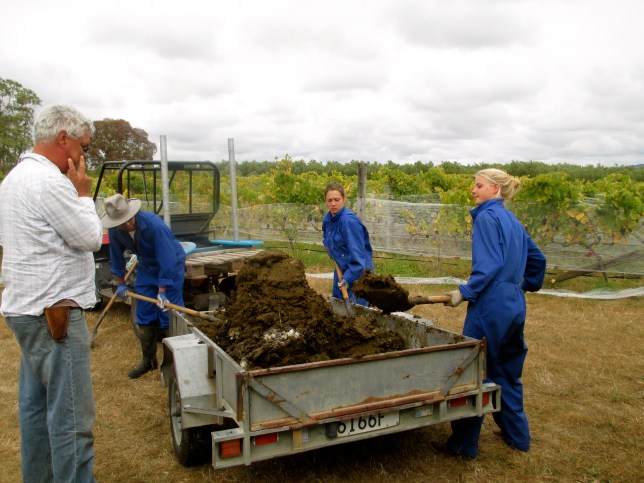 Dynamising Cow Dung - photo by The Wine Idealist