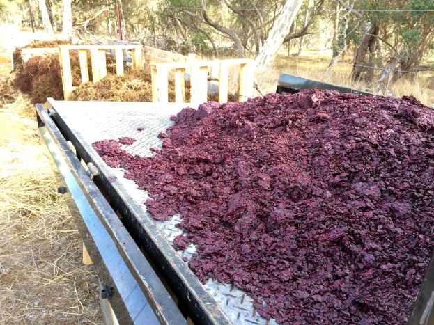Grape Marc for Composting - photo courtesy of Freehand Wines