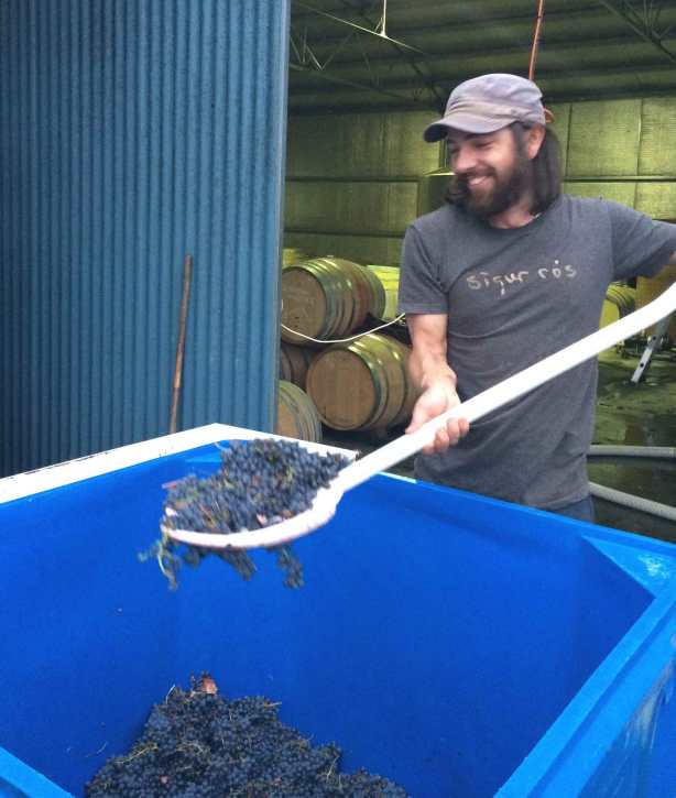 Matt Eastwell - photo courtesy of Freehand Wines