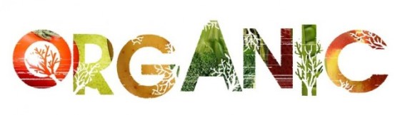 organic-1-650x186