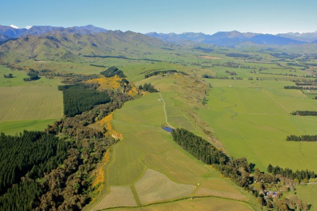 Churton Vineyard, Marlborough - photo courtesy of Churton