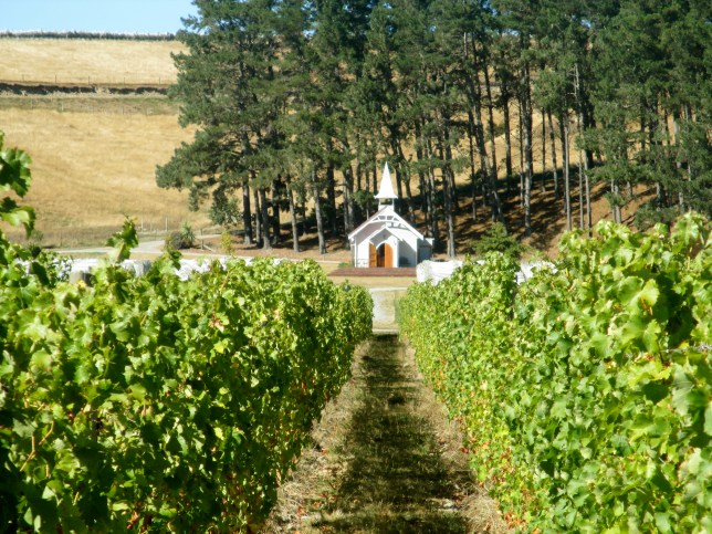 Clos Henri - photo by The Wine Idealist