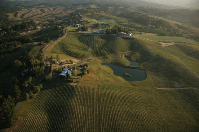 Mahana Vineyard - photo courtesy of Woollaston Estate