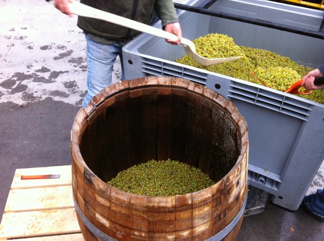 Barrel Ferment - photo courtesy of Mount Edward