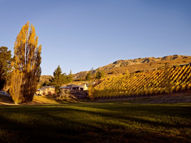 Mount Edward, Gibbston Valley - photo courtesy of Mount Edward