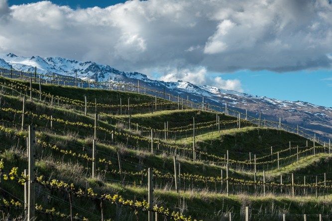 The Terrace Block - photo courtesy of Surveyor Thomson