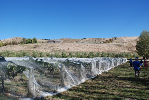 Domaine Rewa - photo courtesy of Philippa Shepherd