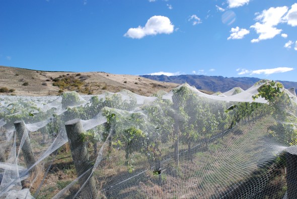 Domaine Rewa - photo courtesy of Philippa Shepherd