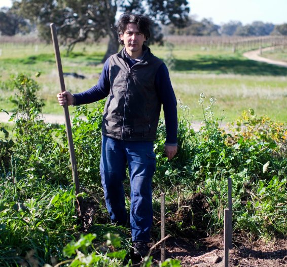 Gilles Lapalus (photo by James Broadway) - courtesy of Sutton Grange